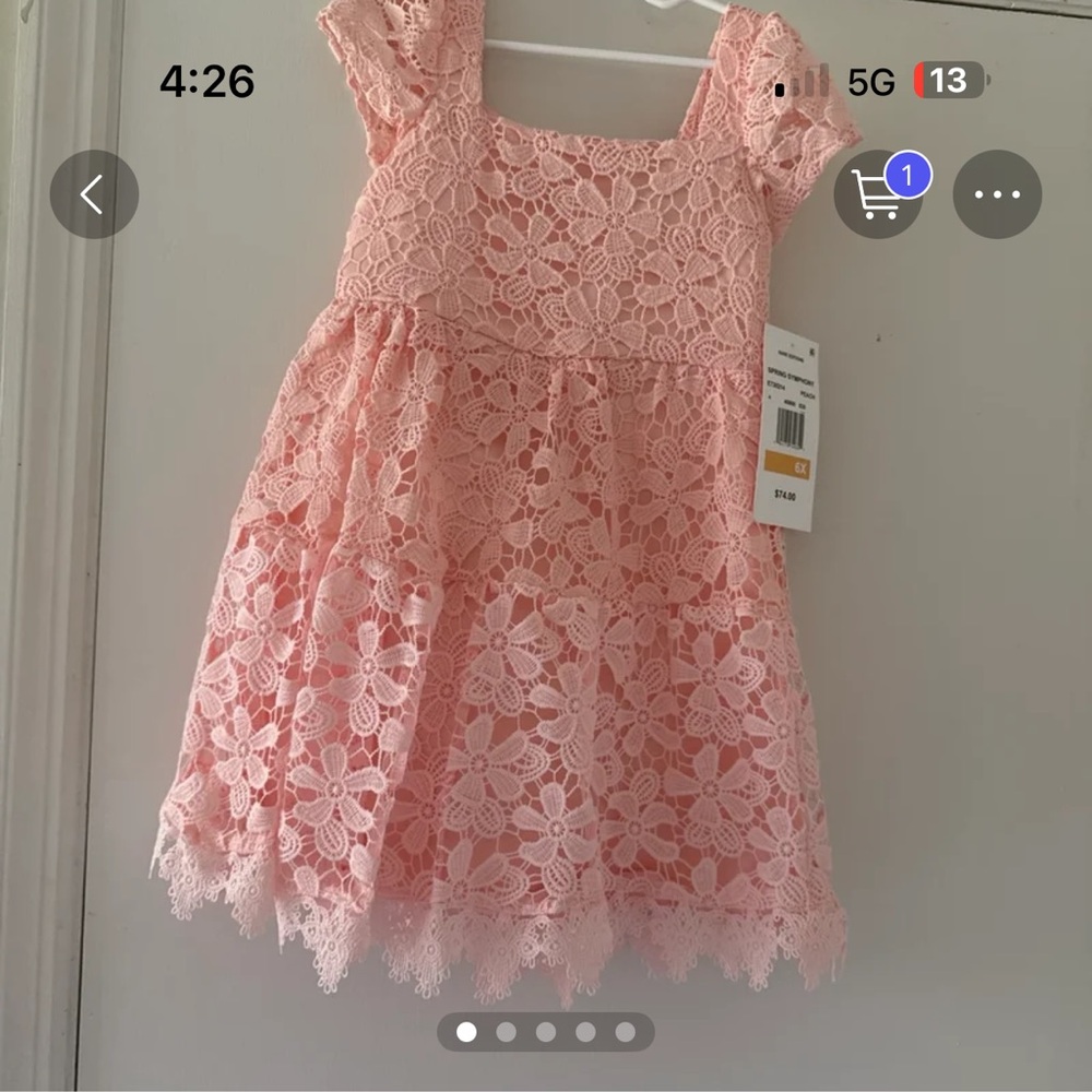 Rare Editions Blush Floral Lace Dress